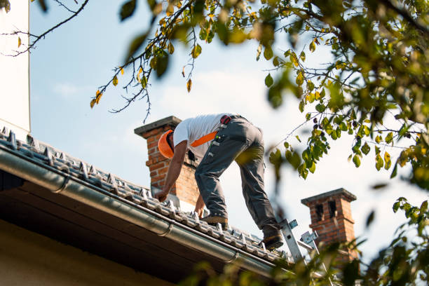 Best Local Roofing Companies  in Elwood, KS