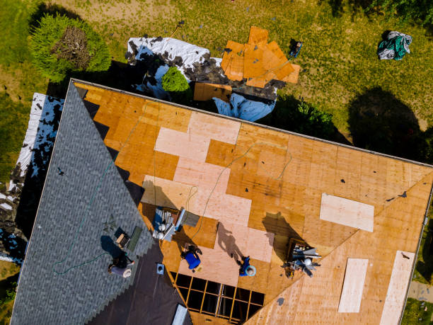 Best Roof Repair Services  in Elwood, KS